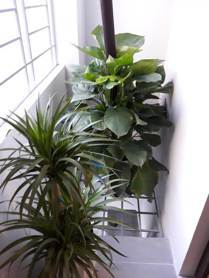 Blue Home Serviced Apartment Ανόι Εξωτερικό φωτογραφία